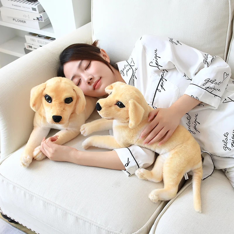 Sc29af23b86c3481f9d05fb6f9ce96869Z - Golden Retriever Gifts
