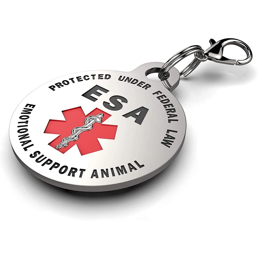 Personalized Stainless Steel Dog Tag – Double-Sided Anti-Lost Pet Collar Accessory