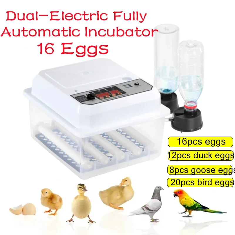 16 Eggs Incubator With Drawer Type Mini Egg Incubator With Automatic Water Ionic Waterbed Replenishment And Temperature Control egg incubator