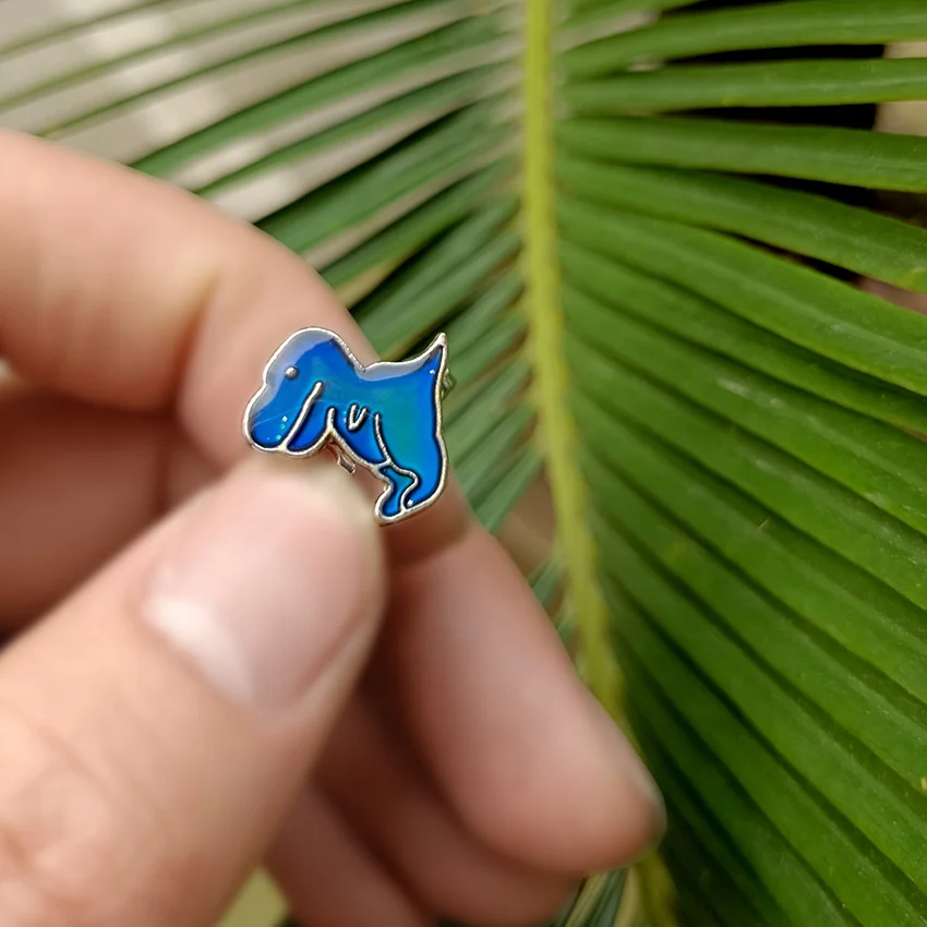 DSC_0171 IMG_20210425_163309