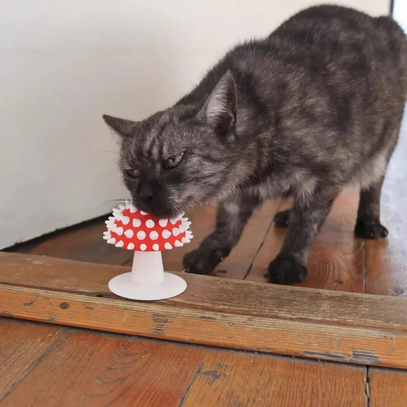 Kattenborstel met paddenstoelvormige, stabiele kam voor kortharige puppy's en kittens, geschikt voor dagelijks borstelen en als spa-massagetool voor huisdieren._voghion.com