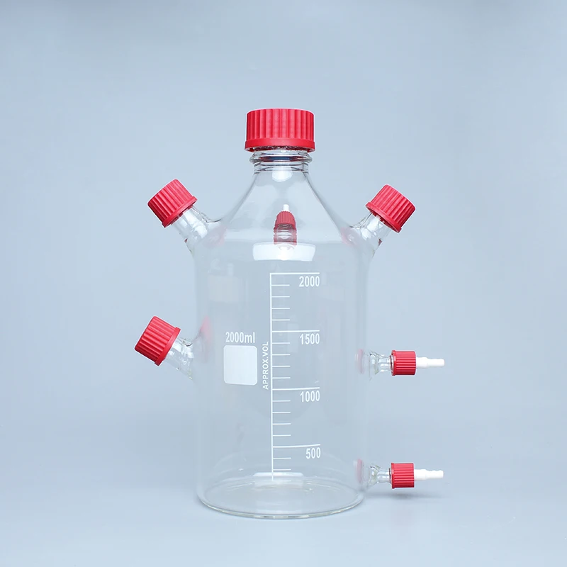 

Анаэробный баллон 2000 мл, реактор MFC, контейнер для батарей, стеклянная посуда, бутылка для шлама, реактор, устройство для культивирования клеток, лаборатория для биогаза