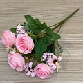 Image 13