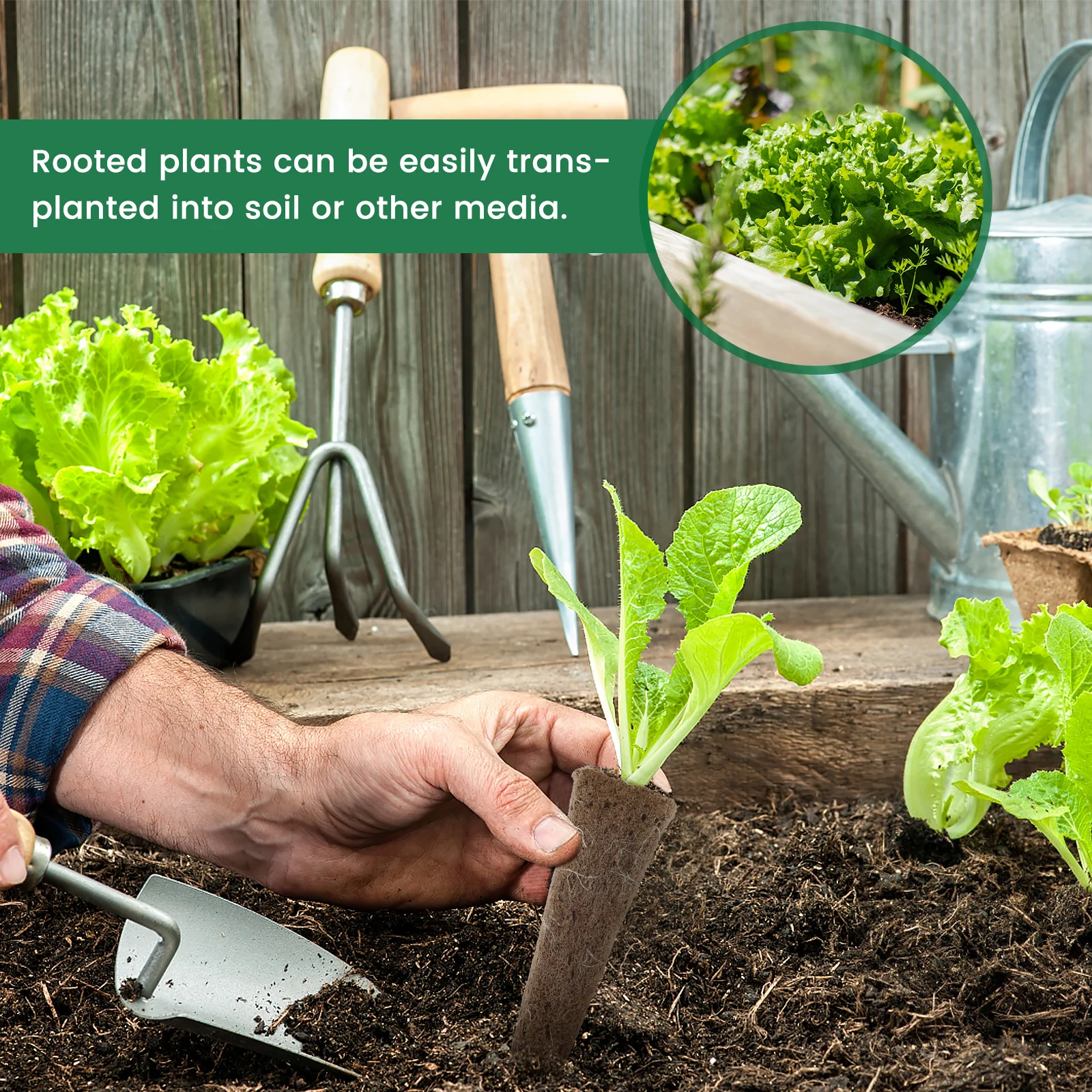 Hydroponic Seed Grow Sponges Kit with Plant Labels