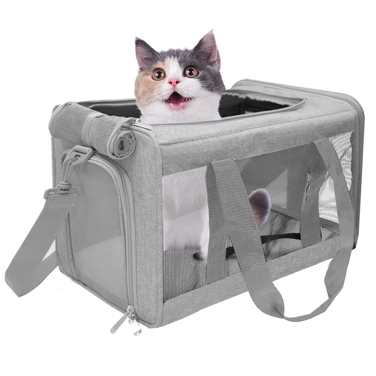 Pet Carrier Airline Approved Backpack Cats Transport Cat Travel