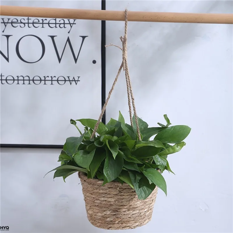 Macrame Hanging Plant Holder 4