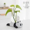 Creative Hydroponic Plant Vase Glass Transparent Container Dish Water Planting Flower Pot Living Room Decoration Decoration 3