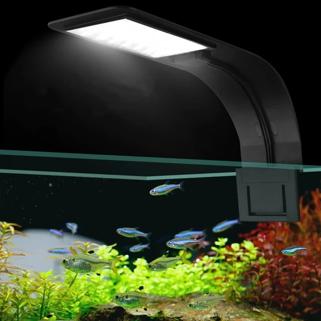 슈퍼 슬림 수족관 LED 조명 클립 온 더블 램프: 아름다운 수중 세계를 위한 조명 솔루션