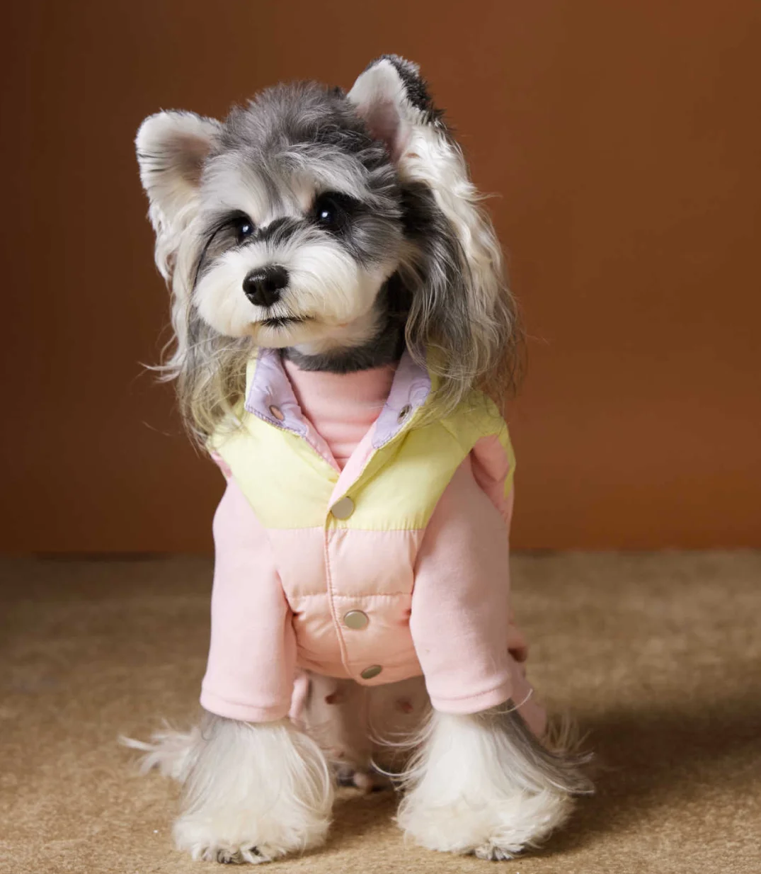 Padded Puppy Cat Clothes Winter Dog Jacket For Small Dogs Chihuahua Vest French Bulldog Coat Yorkie Outfits