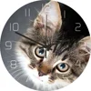 Fun Animal Frameless DIY Wall Hanging Clock Cat Tiger Leopard Frog Mute Acrylic Wall Clocks Home Living Room Office Wall Decor 2