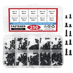 Precision Flat Head Phillips Screws Kit - 250 - Piece Set for Electronics and Computer Repairs (250pcs)