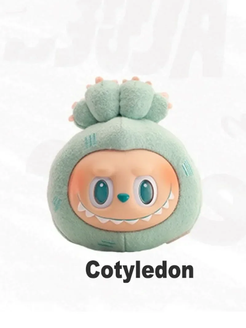 Cotyledon