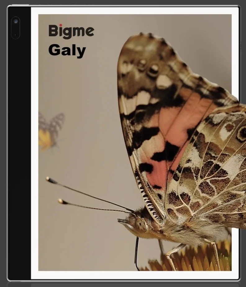 Bigme Galy 8 Pollici E-Ink Gallery 3 Colori E-Paper Display Tablet Ebook Reader E-Book 300Ppi Schermo A Colori Galy E-Book Bigme Ereader