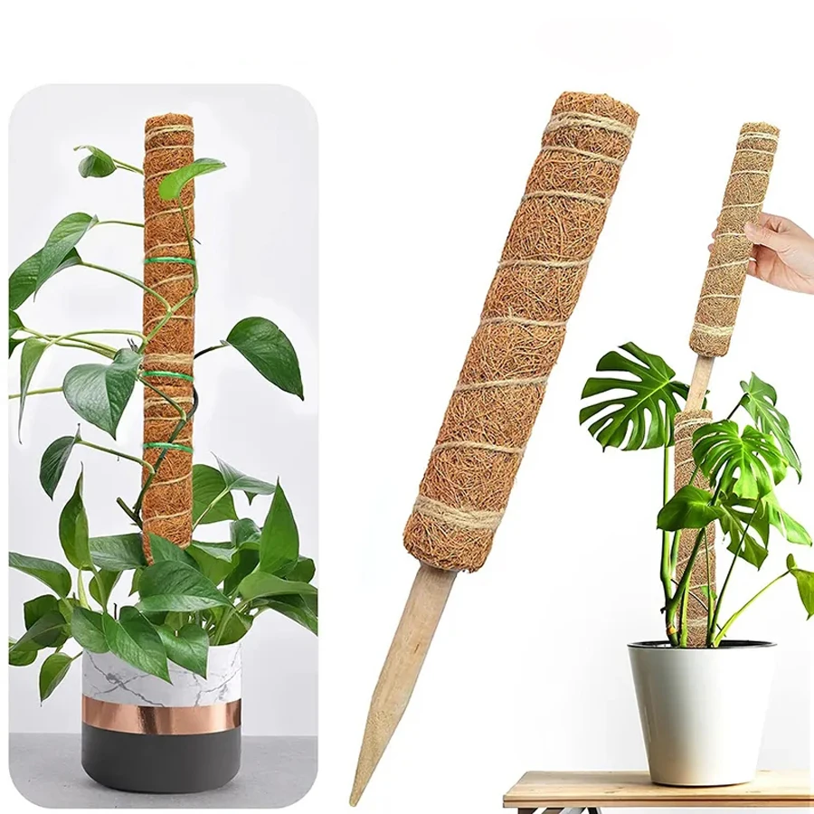 30/40/50cm Plant Climbing Rod Climbing VineCoconut Palm Rod Diy Reusable Stick PlantSupport Moss Palm Vines Stick Extension
