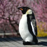 Emperor Penguin High Fidelity Anime Cute Plushie Penguin Plush Toys Lifelike Animals Simulation Stuffed Doll Toy Gifts For Kids 1