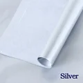 Silverx50x66cm