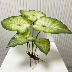 Artificial Green Lotus Leaf Plant with Roots for Home and Garden Decor - Elegant Simulation for Wedding and Party Table Settings (5 Heads Type B)