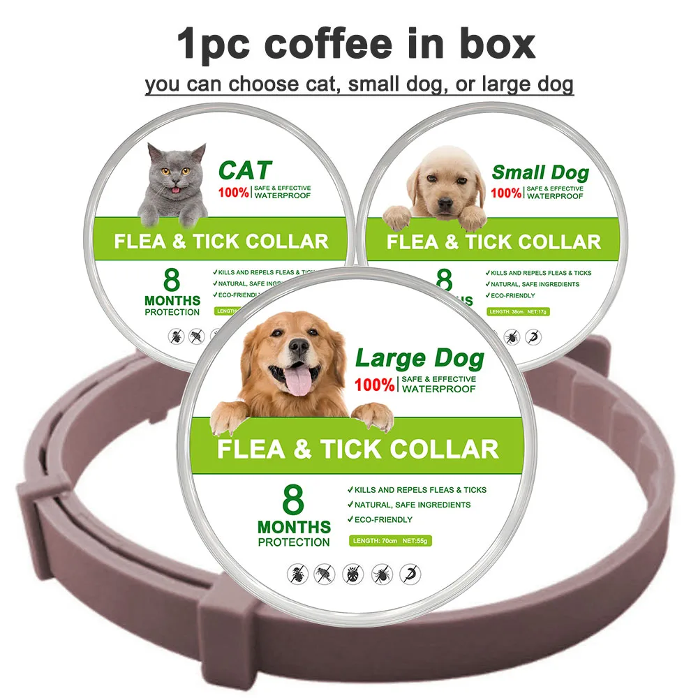 coffee (in box)