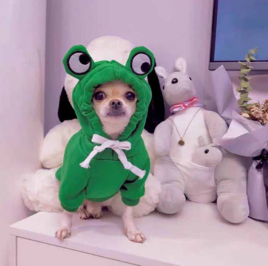 Green Cute Frog Pet Sweater - Puppy Hoodie for Dogs and Cats