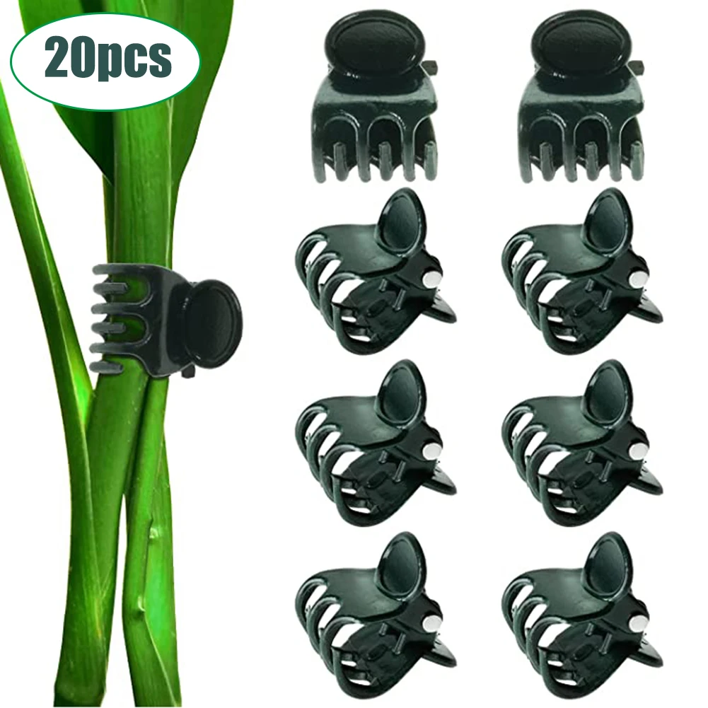 20pcs Phalaenopsis Orchid Gardening Clip Vine Fixing Clip Plastic Grafting Clip Plant Support Garden Tool Accessories