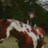 Children Equestrian Sports Hat Kids Horse Riding Head Protector Protective Gear Toddler Protective Horse Riding Gear 2