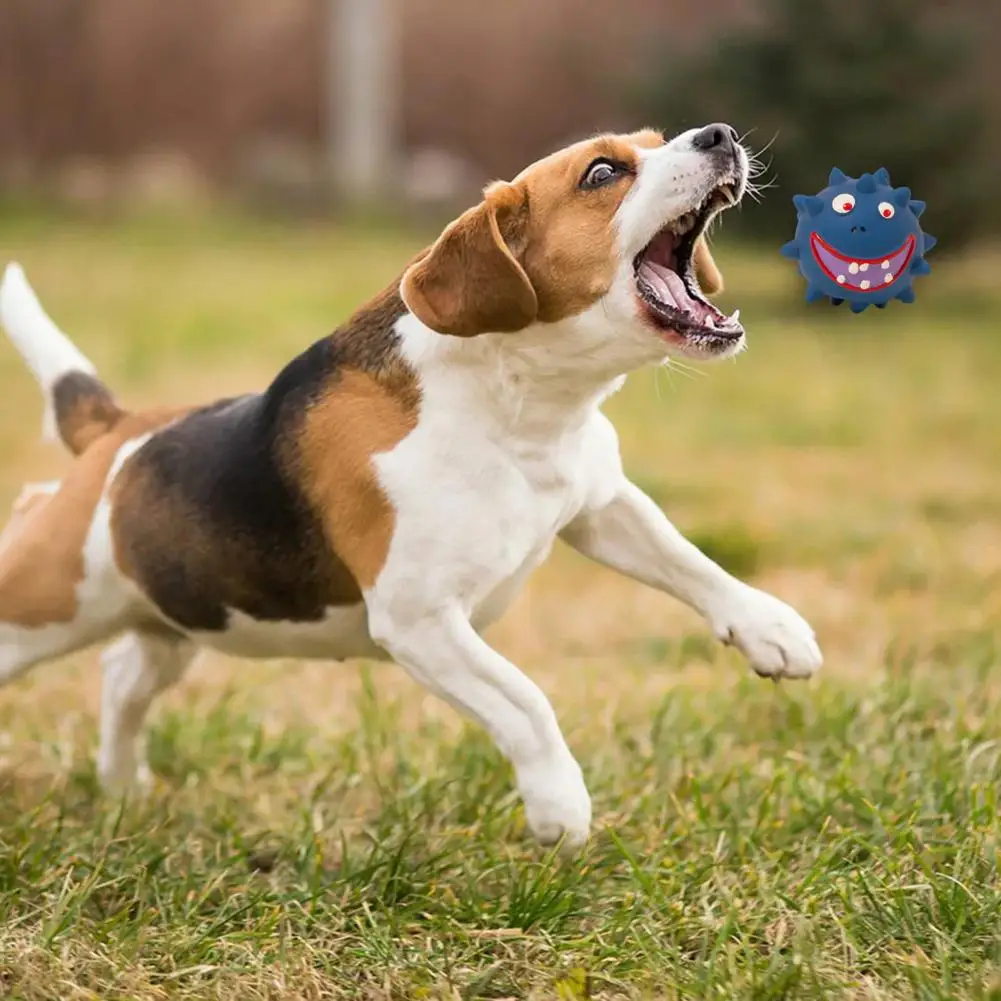 Indestructible Dog Chew Toys - PeticaDeals