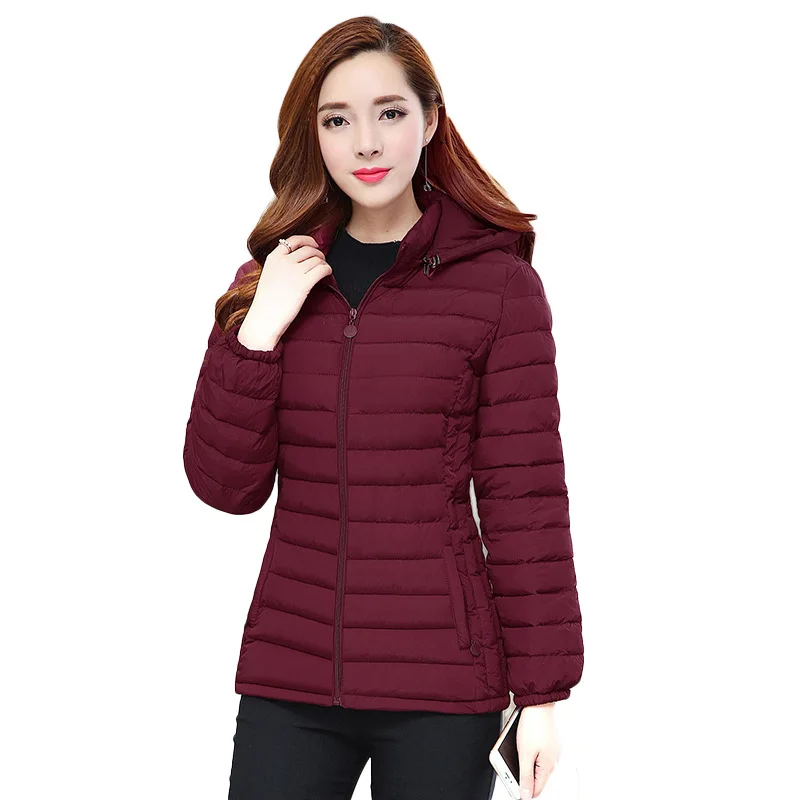 Fashion Silm Hooded Jacket 2023 Elegant Autumn Zipper Casual Parkas Women Winter Coat Warm High Quality Stand-callor Jackets