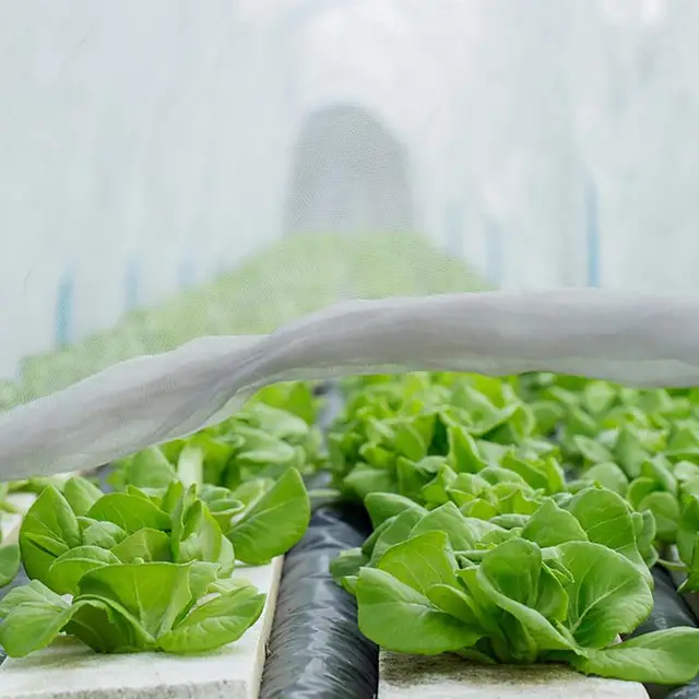Hálózat A Kertvédelemhez Zöldség Rovarvezérlés Nettó Farm Gyümölcsös Gyümölcsök Fa Védelmi Borító Hálóháló-Madárgátló Kerti Szerszámok - Image 5