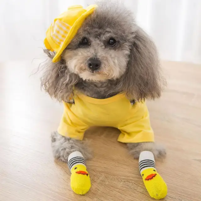 set Cute Pet Socks Anti-Slip Knitted Cats Shoes Anti-scratch For Cats Shoes Thick Cat Claw Protection Accessories For Cats 5
