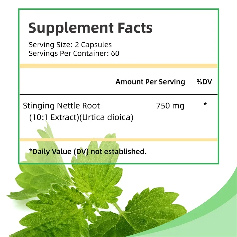 Stinging Nettle Root Promotes Prostate and Urinary Tract Health Reduces Frequent Urination stinging nettle root supplement