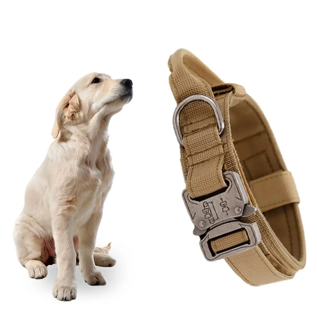 Breathable Nylon Dog Collar Outdoor Training Leash Kit Pet Accessories for Medium and Large Breed Dogs
