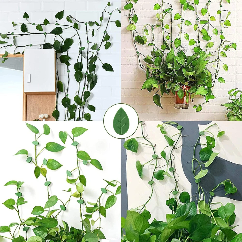 Invisible Plant Climbing Wall Fixture Clips 10-50Pcs PcsRattan Vine Bracket Fixed Buckle Leaf Clips Traction Holder Garden 4
