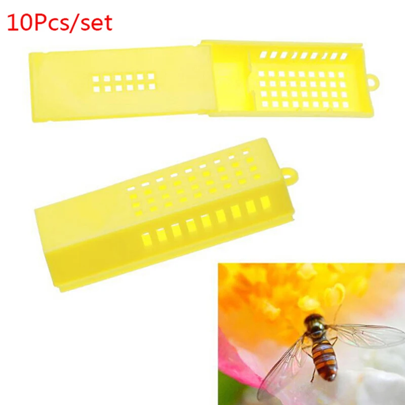 

10Pcs Professional Queen Bee Cage Catcher Plastic Beekeeping Travelling Butler