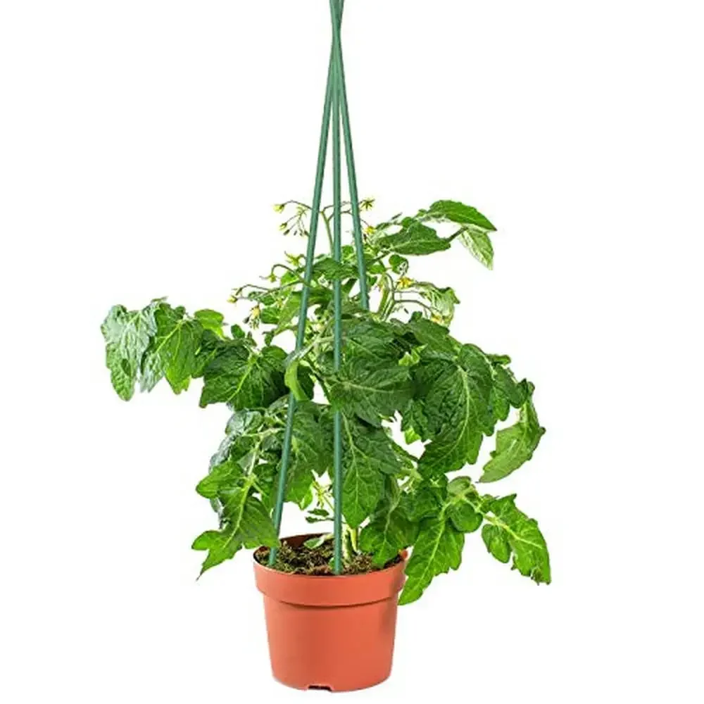 48" Metal Plant Stakes Garden Tomato Supports & Tree Sticks 50 Pack Sturdy & Weather Resistant For Potted Climbing Plants