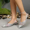 Women's Shoes 2024 New Slingbacks Women's High Heels Mesh Dress Pumps Women Pointed Toe Bling Slip on Thin Heels Ladies Sandals 5