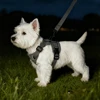 Pet Harness and Leash Set Reflective Walking Puppy Vest Chest Strap For Small Dogs Cats Breathable Outdoor Harnesses With D-Ring 5