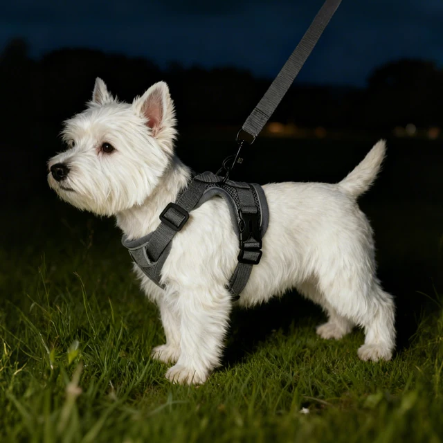 Pet Harness and Leash Set Reflective Walking Puppy Vest Chest Strap For Small Dogs Cats Breathable Outdoor Harnesses With D-Ring 5