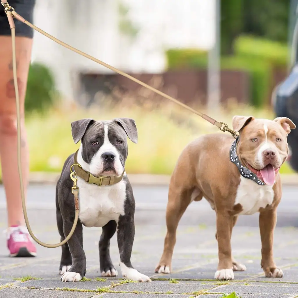 Dog Leash Durable Pet Walking Leash Rope Double Coupler 1 Way 2 Ways - PeticaDeals