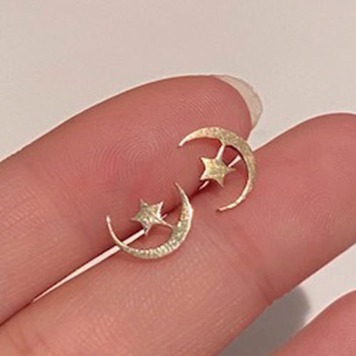 Stainless Steel Earrings Cute Heart Star Moon Mini Small Stud Earrings for Girl Helix Piercing Small Pircing Leaf Earring