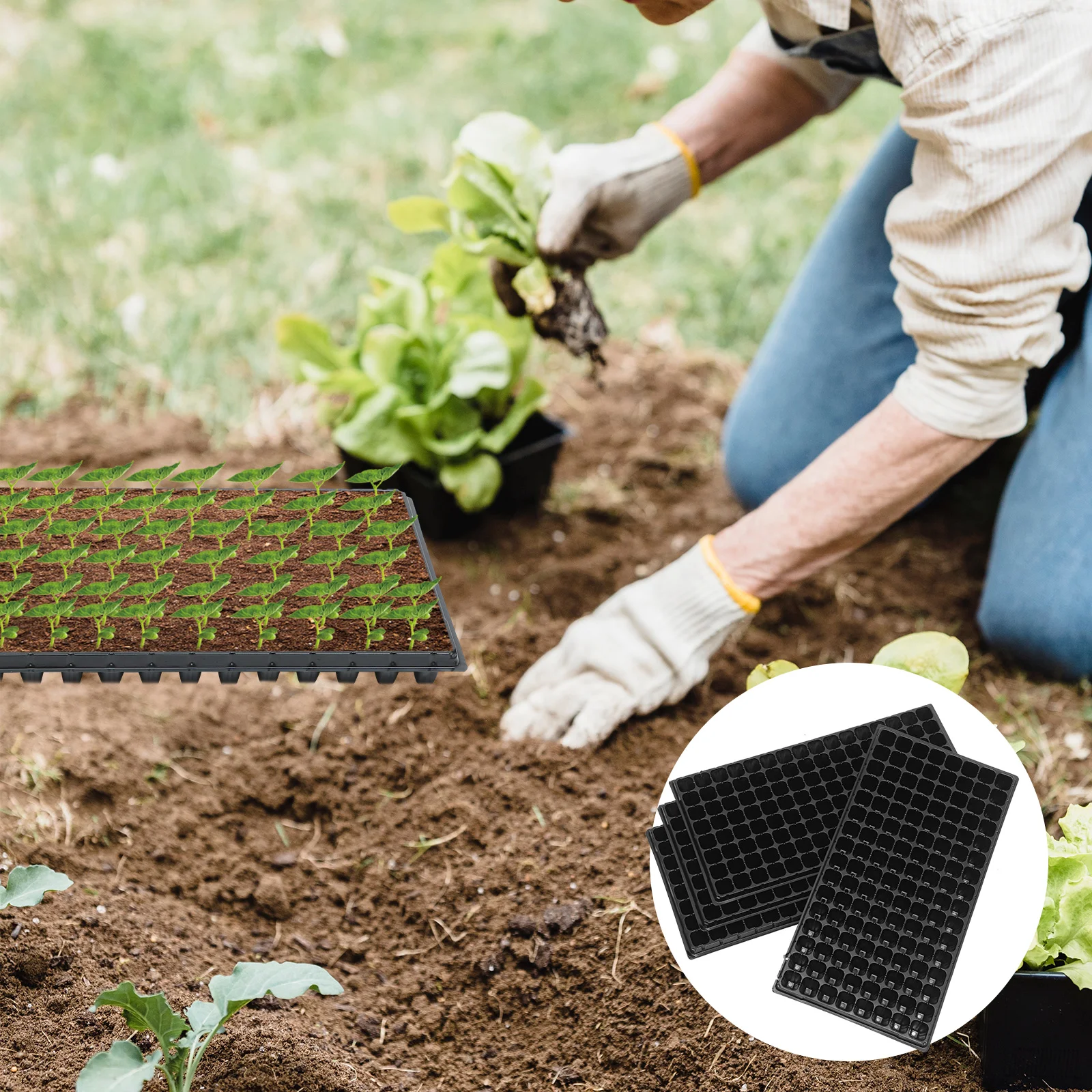 

10 Pcs Vegetable Veggie Tray Plant Starter Trays Growing Container for Gardener