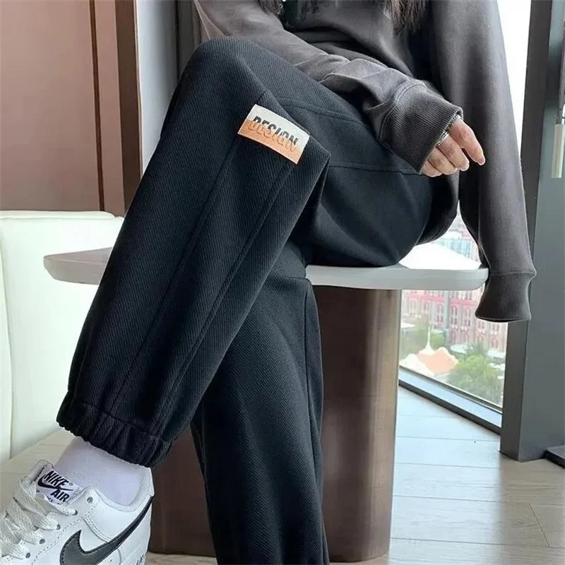 

High-Quality Sweatpants Women Spring Autumn Winter 2024New Velvet Padded Casual Trousers With High Waist Legs Ladies Harun Pants