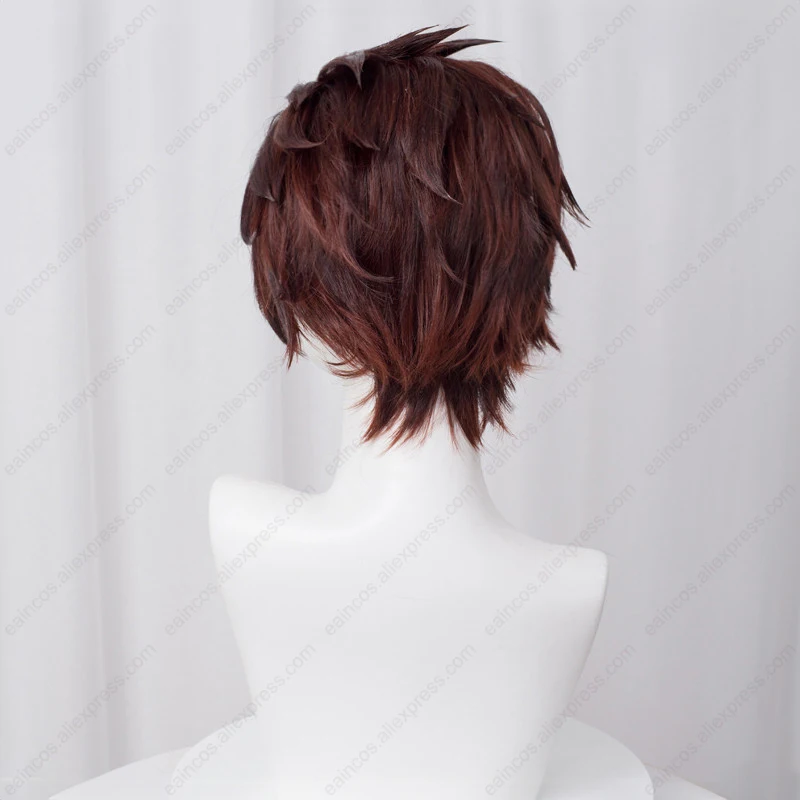 Tanjiro Kamado Inspired Brown Gradient Cosplay Wig – Heat Resistant Synthetic Hair, 30cm