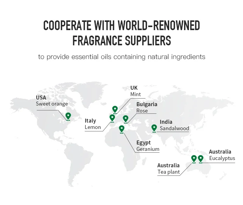 Chá Branco, Óleo de Fragrância, Perfume Aromático