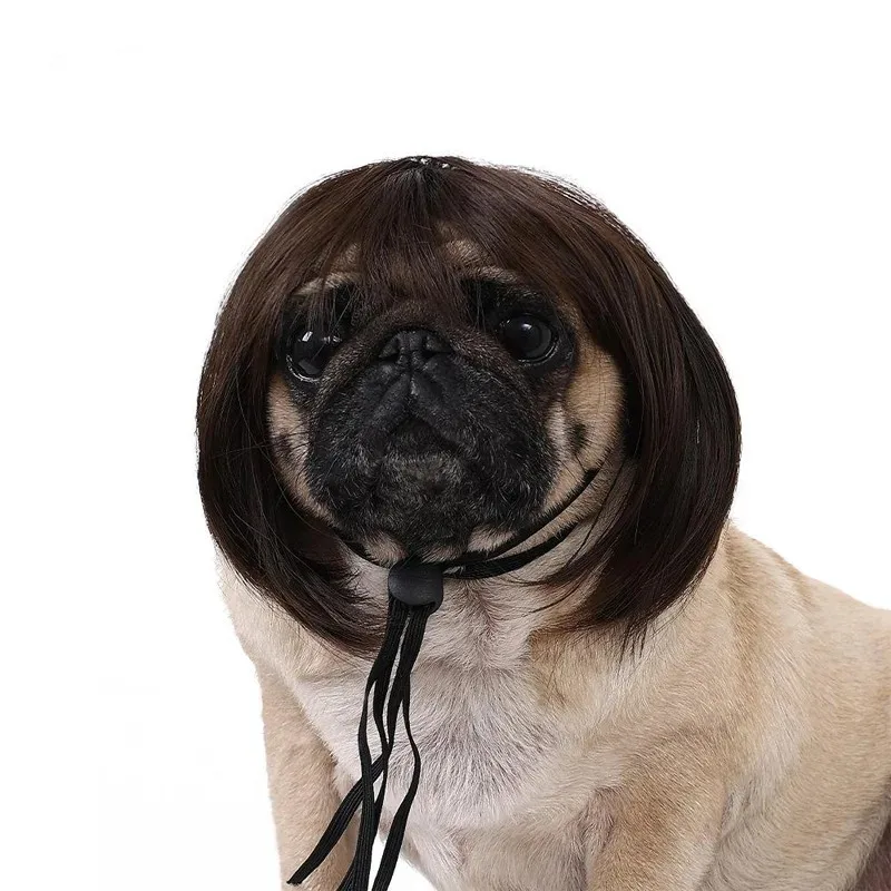 Funny Pet Costume Wig 2