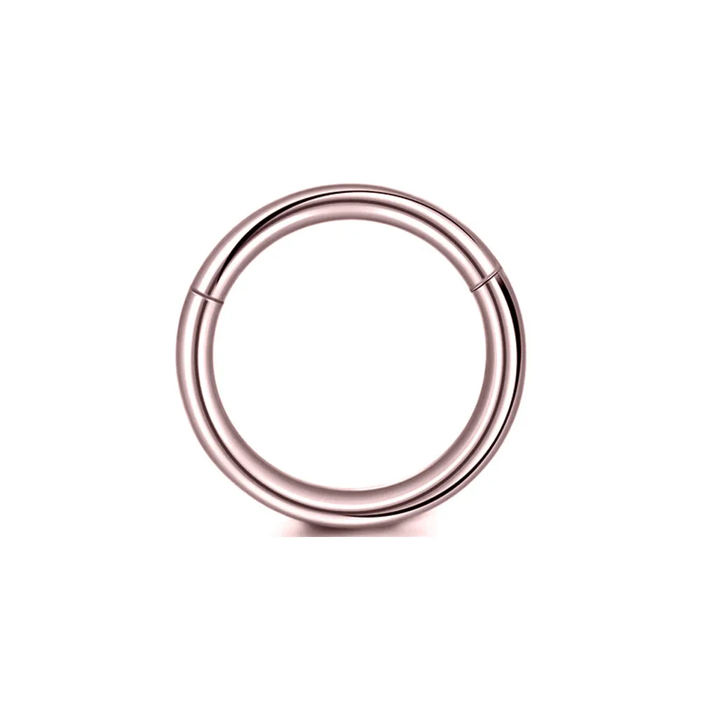 Piercing Jewelry ASTM F136 G23 Titanium Hinged Segment Rings Daith Conch Earring Septum Hoop 16G 18G 20G 6-12mm piercing jewelry body piercing earrings ear piercing jewelry metal jewelry hoop earrings body piercing jewelry body jewelry ear taper earrings