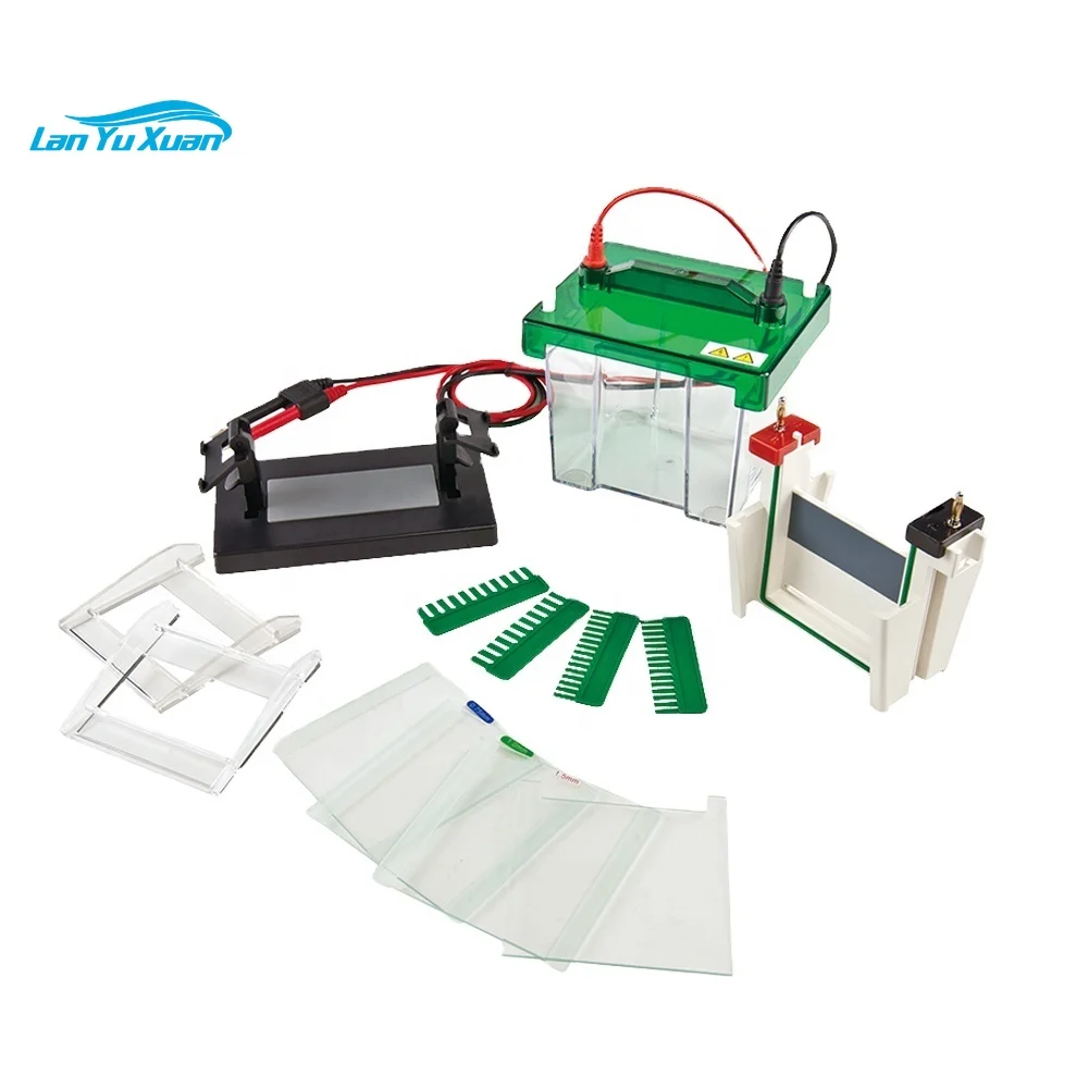 

Mini-Gel Electrophoresis Analyzer For DNA And RNA