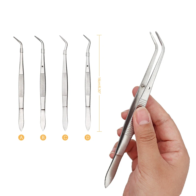 

Dental Surgical Tweezers Stainless Steel Serrated Curved Tweezer Pincers Forceps Teeth Whitening Dentist Tools 16cm Four Sizes