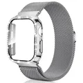 Sliver 1