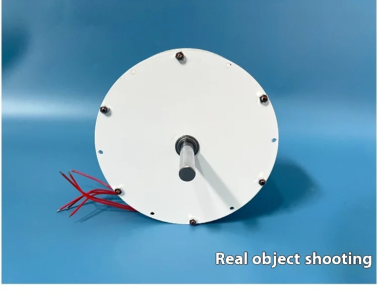 Double-layer stacked 300W * 2 permanent disk coreless generator with high effici