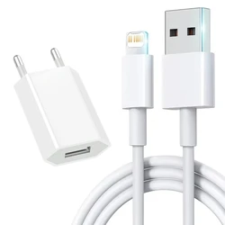 High - Speed EU USB Charger with Rapid Charge Data Cable - EU Plug and Cable (1m Cable)
